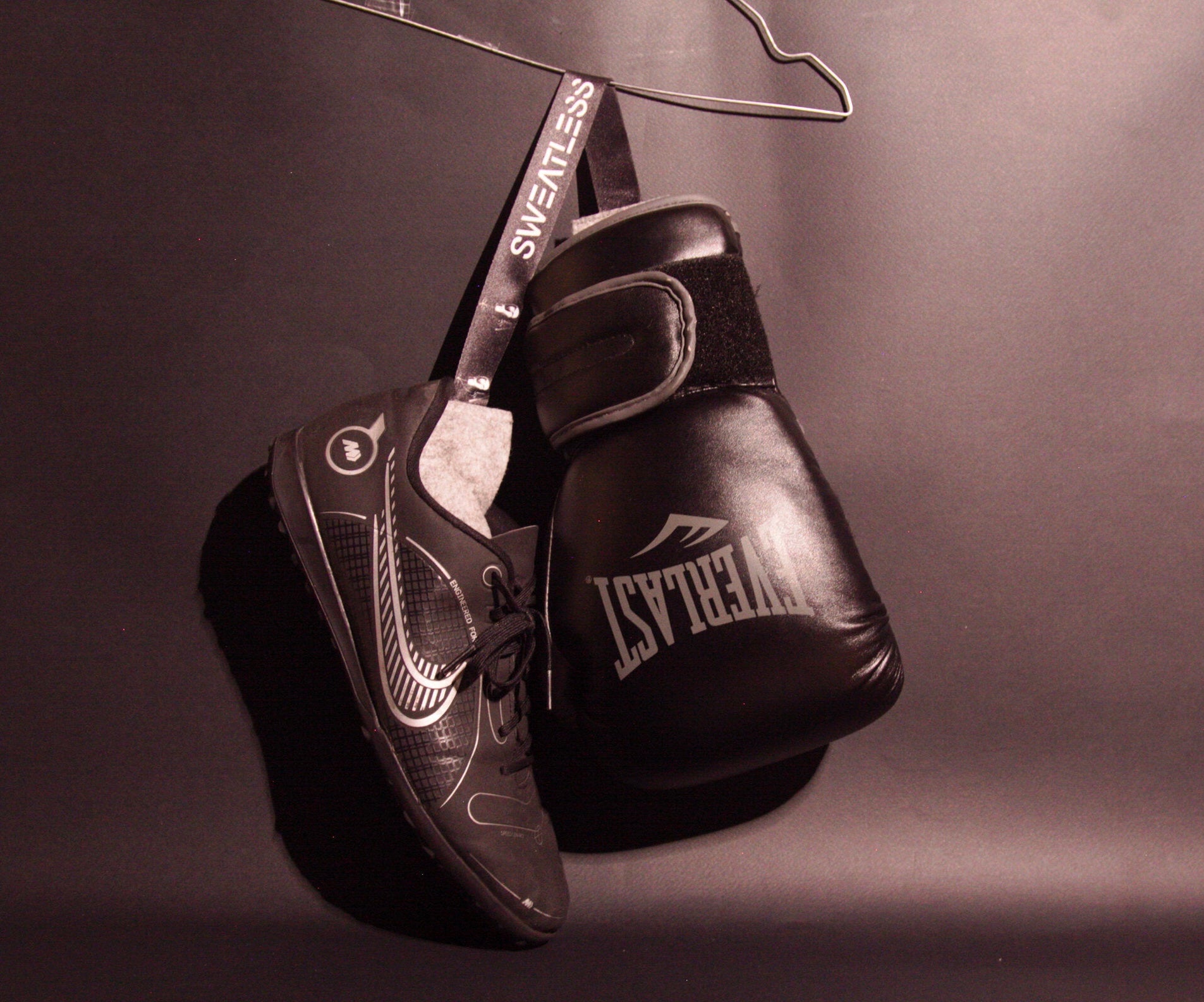 Everlast 2025 glove deodorizer